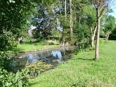 Killikus&reg; Fotographie